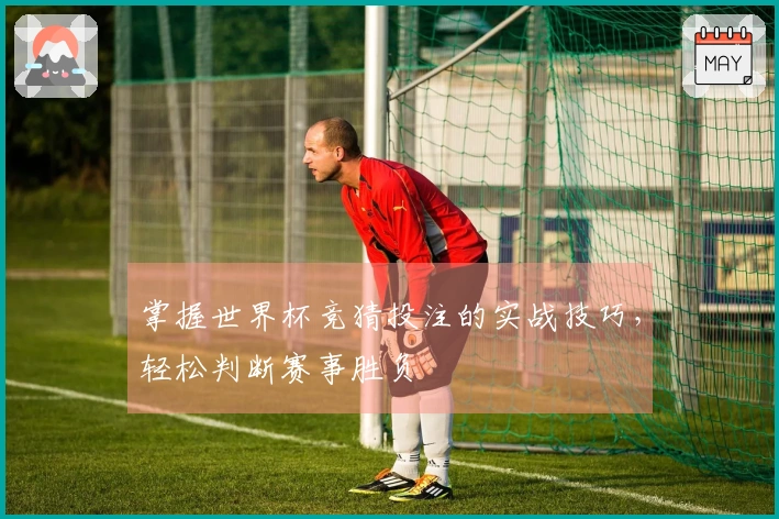 掌握世界杯竞猜投注的实战技巧，轻松判断赛事胜负