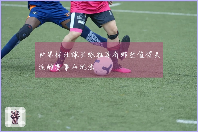 世界杯让球买球推荐有哪些值得关注的赛事和玩法