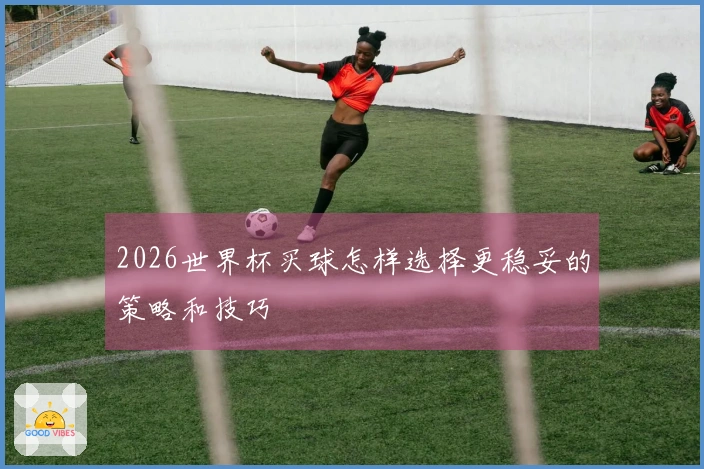 2026世界杯买球怎样选择更稳妥的策略和技巧